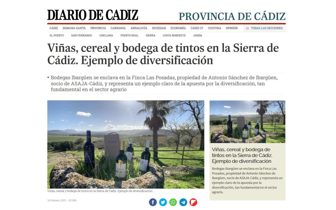 diario-de-cadiz-ibarguen
