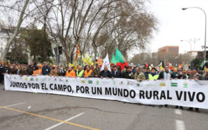 campo