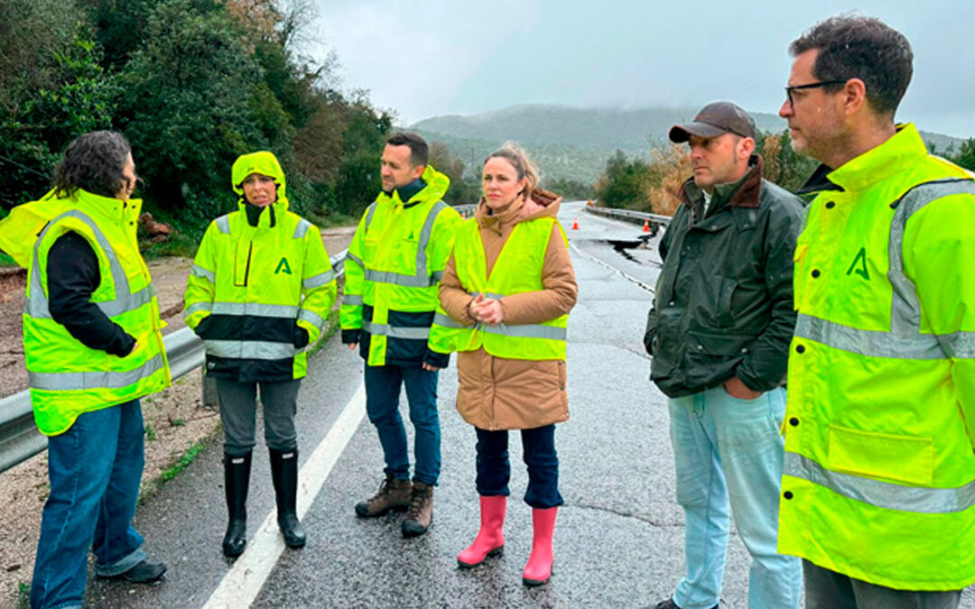 Situación actual en los viñedos de Prado del Rey